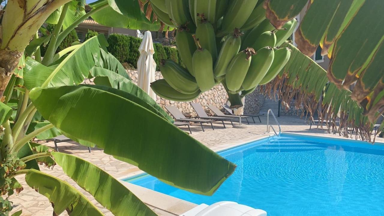 Katarina Apartments Kefalonia - Sea View Argostoli  Exterior photo