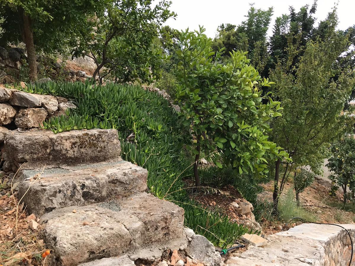 Katarina Apartments Kefalonia - Sea View Argostoli  Exterior photo