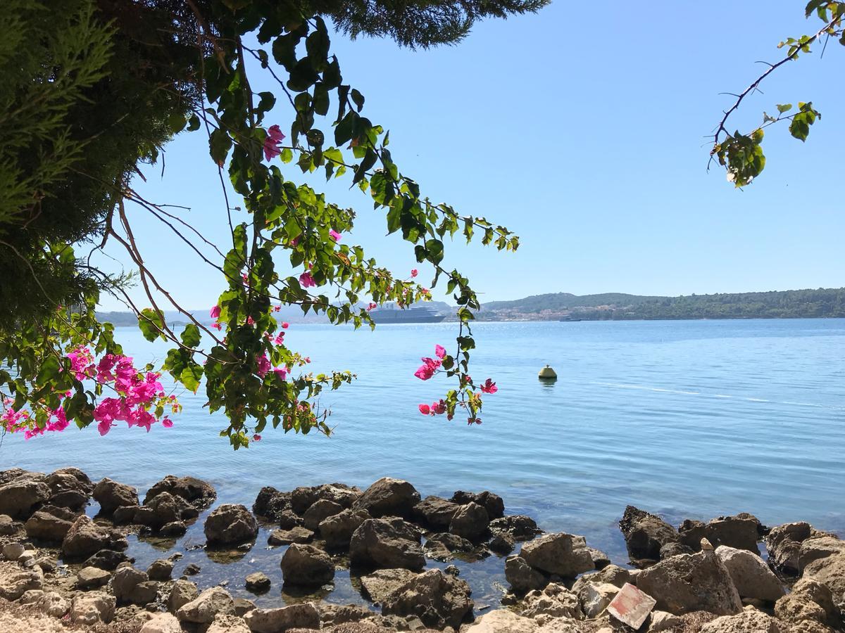 Katarina Apartments Kefalonia - Sea View Argostoli  Exterior photo